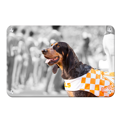 Tennessee Volunteers - Smokey X - College Wall Art #Metal