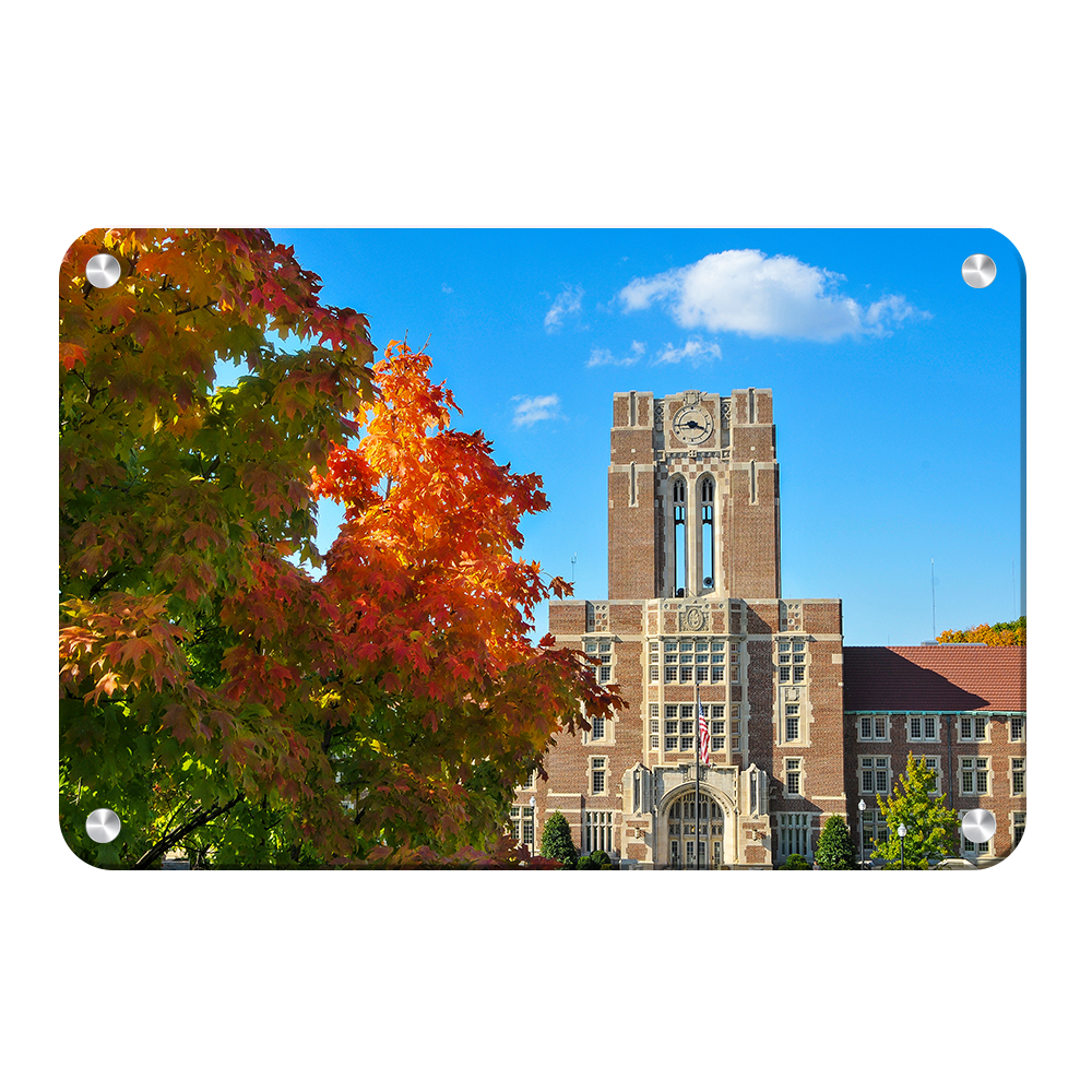 Tennessee Volunteers - Ayres Fall - College Wall Art #Canvas