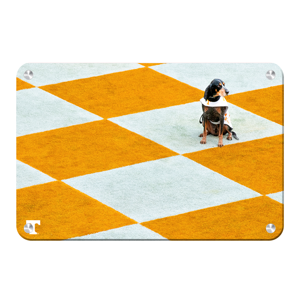 Tennessee Volunteers - Checkerboard Smokey - College Wall Art #Canvas