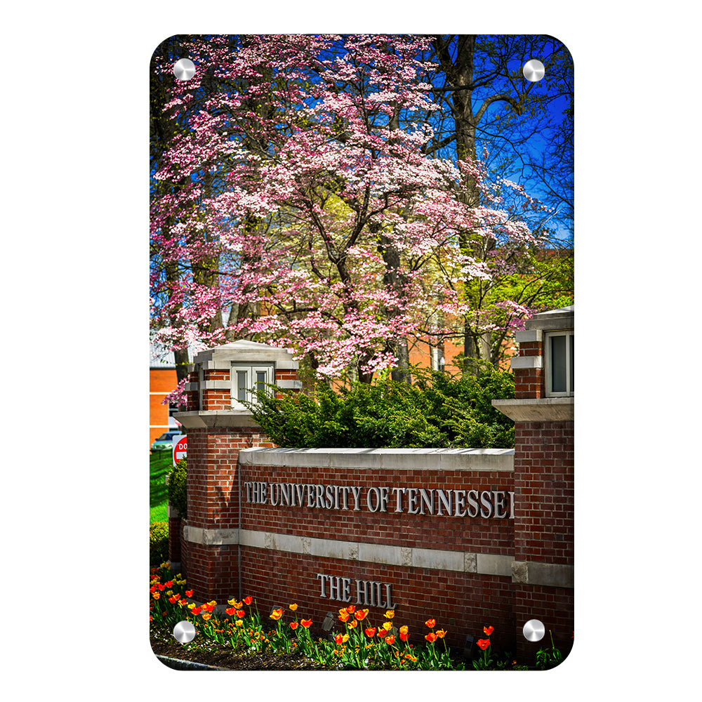 Tennessee Volunteers - Spring on the Hill - College Wall Art #Canvas