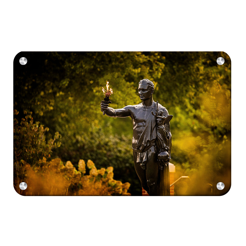 Tennessee Volunteers - Fall Torchbearer - College Wall Art #Canvas