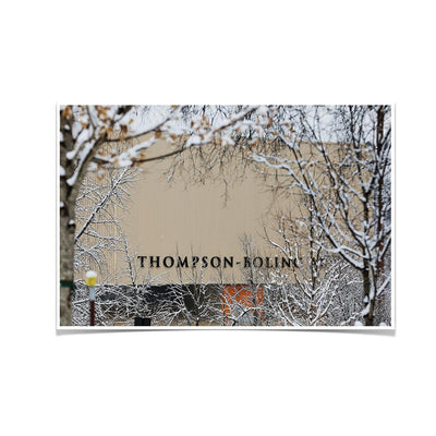 Tennessee Volunteers - Snowy Thompson-Boling - College Wall Art #Poster