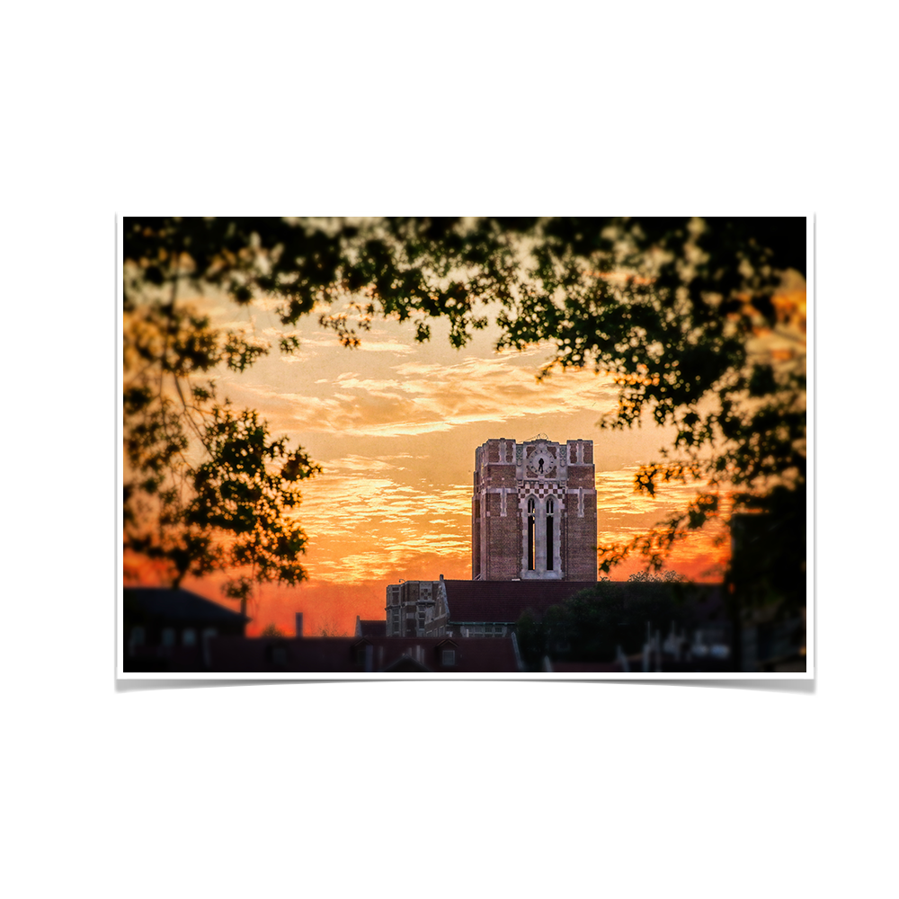 Tennessee Volunteers - Ayres Blaze - College Wall Art #Canvas