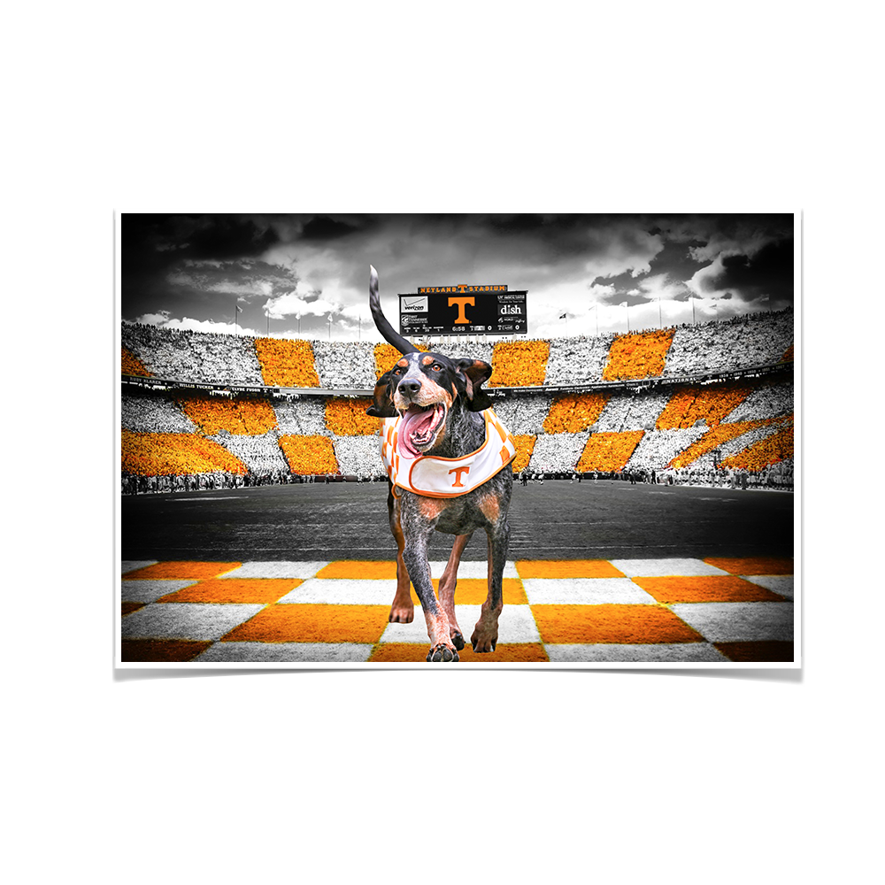Tennessee Volunteers - Smokey's Backyard - College Wall Art #Canvas