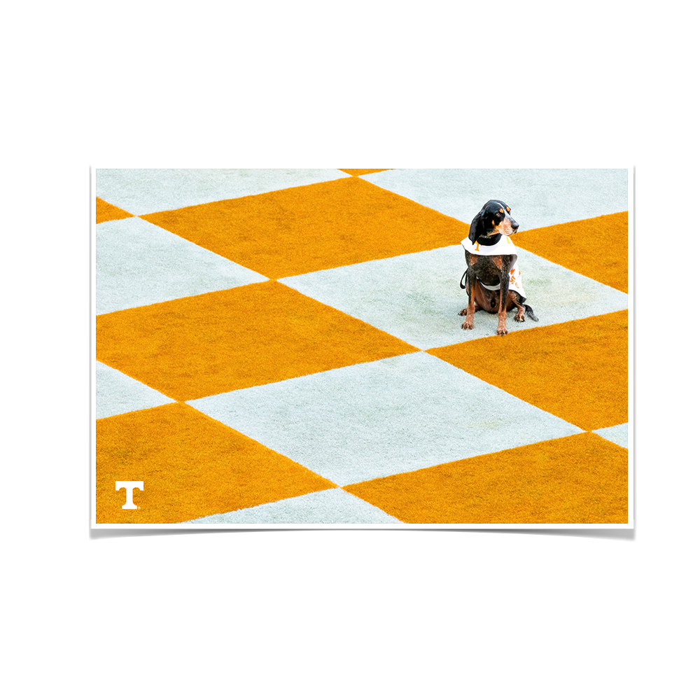 Tennessee Volunteers - Checkerboard Smokey - College Wall Art #Canvas