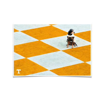 Tennessee Volunteers - Checkerboard Smokey - College Wall Art #Poster