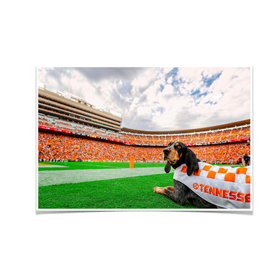 Tennessee Volunteers - Smokey's Tennessee - College Wall Art #Poster
