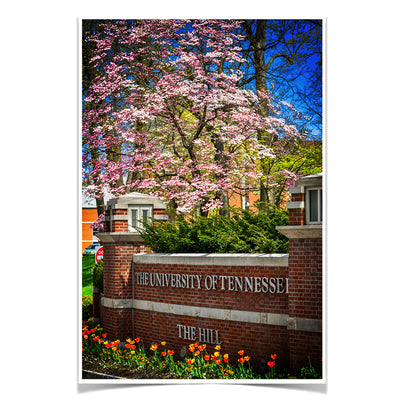 Tennessee Volunteers - Spring on the Hill - College Wall Art #Poster