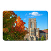 Tennessee Volunteers - Ayres Fall - College Wall Art #PVC