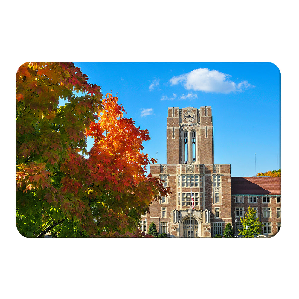 Tennessee Volunteers - Ayres Fall - College Wall Art #Canvas