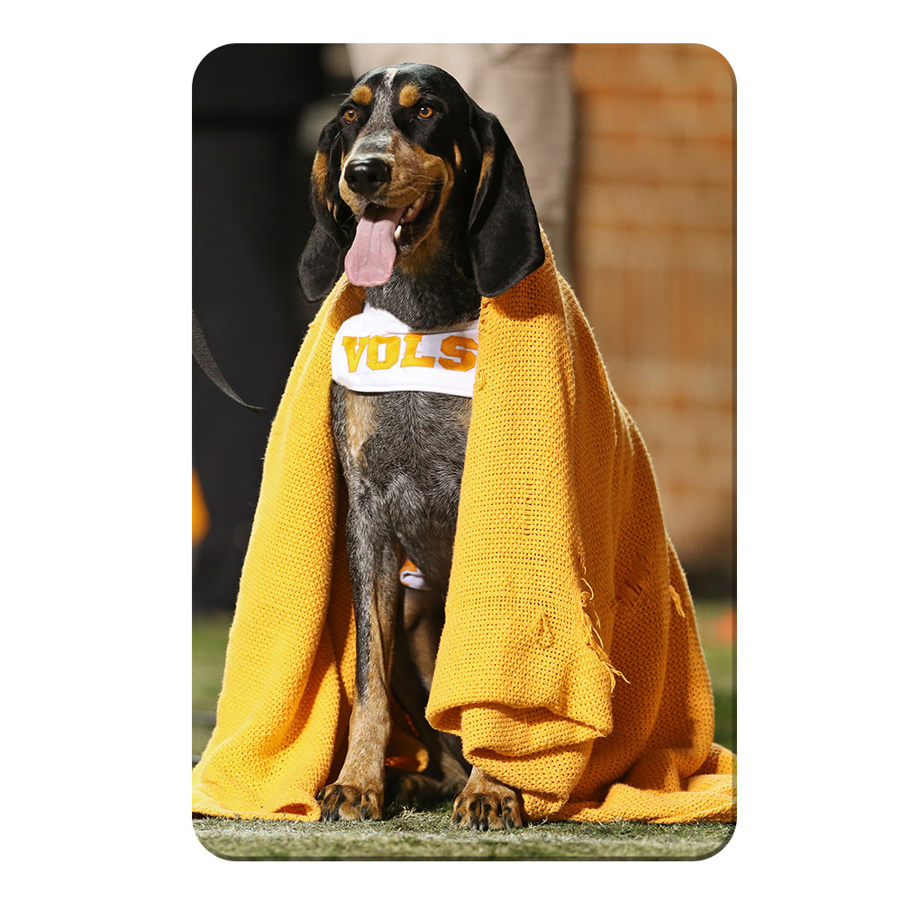 Tennessee Volunteers - Smokey's Blanket - College Wall Art #Canvas