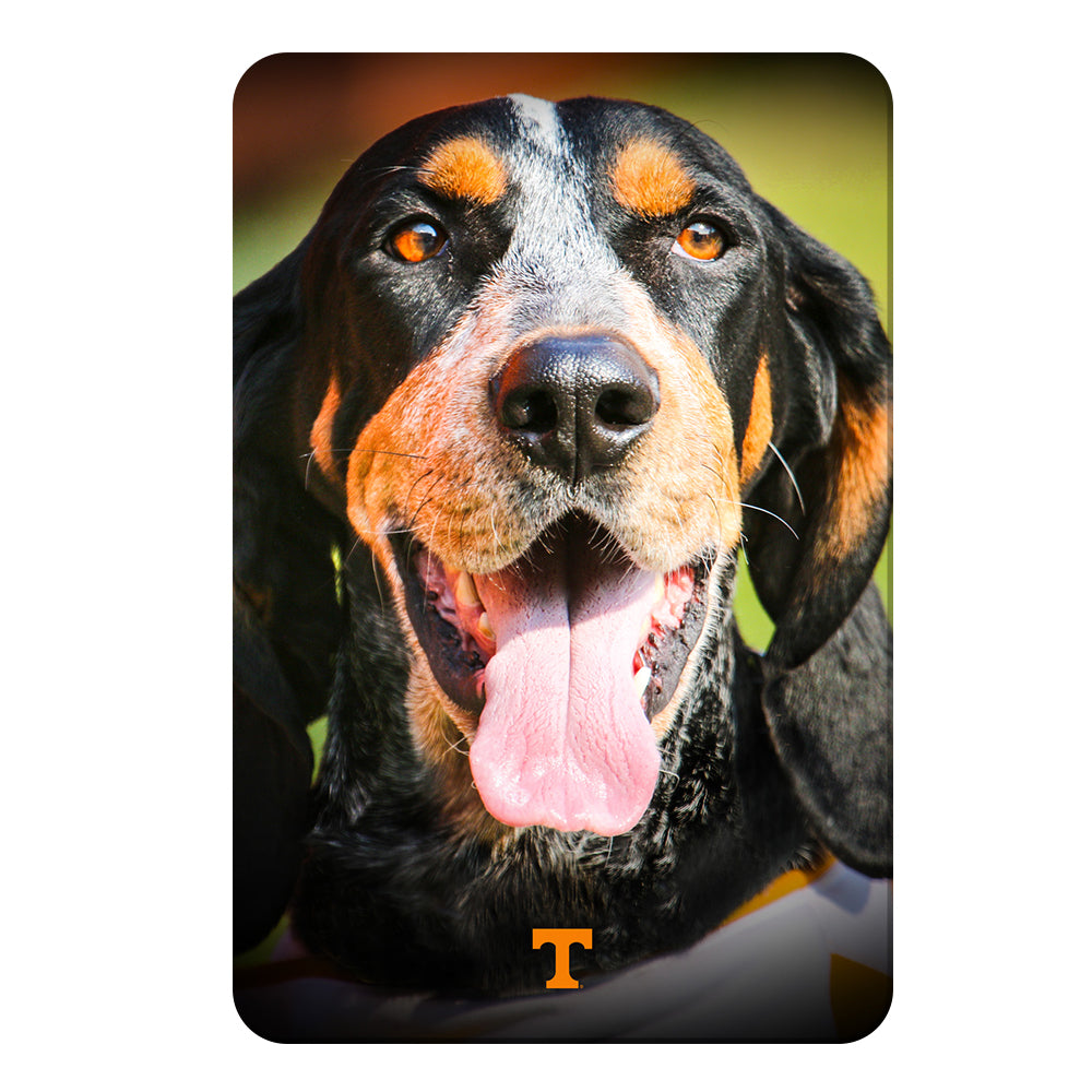Tennessee Volunteers - Smokey Smiles - College Wall Art #Canvas