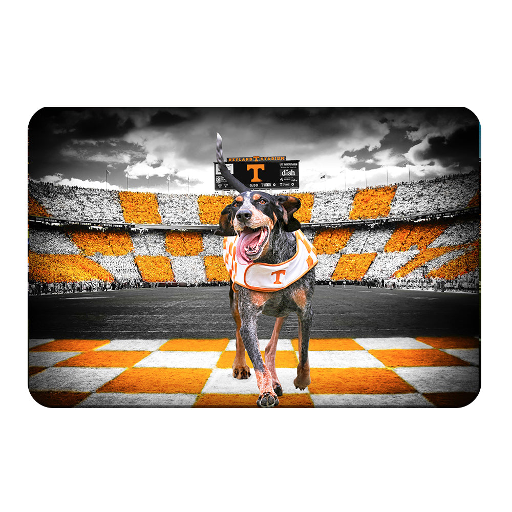 Tennessee Volunteers - Smokey's Backyard - College Wall Art #Canvas