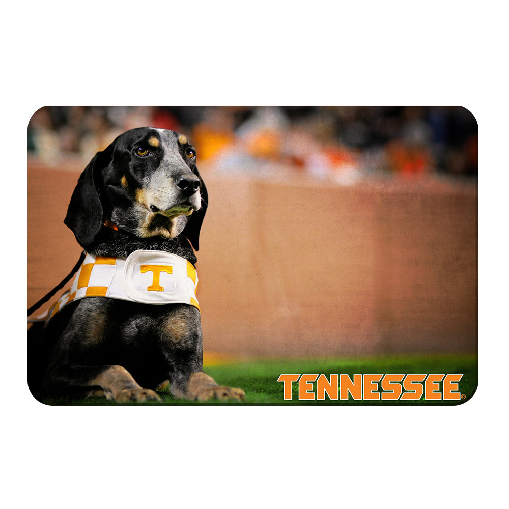 Tennessee Volunteers - Smokey - College Wall Art #Canvas