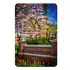 Tennessee Volunteers - Spring on the Hill - College Wall Art #PVC