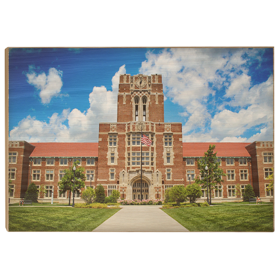 Tennessee Volunteers - Ayres Color - College Wall Art #Canvas