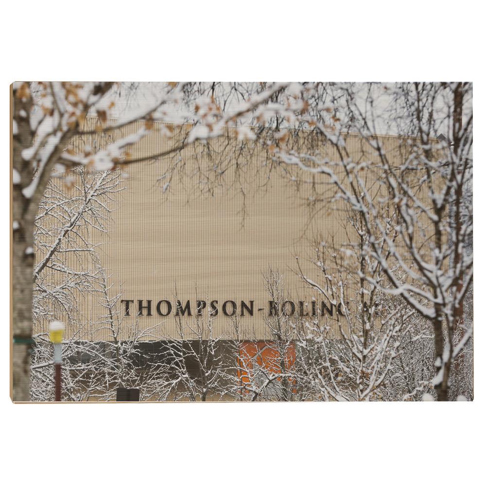 Tennessee Volunteers - Snowy Thompson-Boling - College Wall Art #Canvas