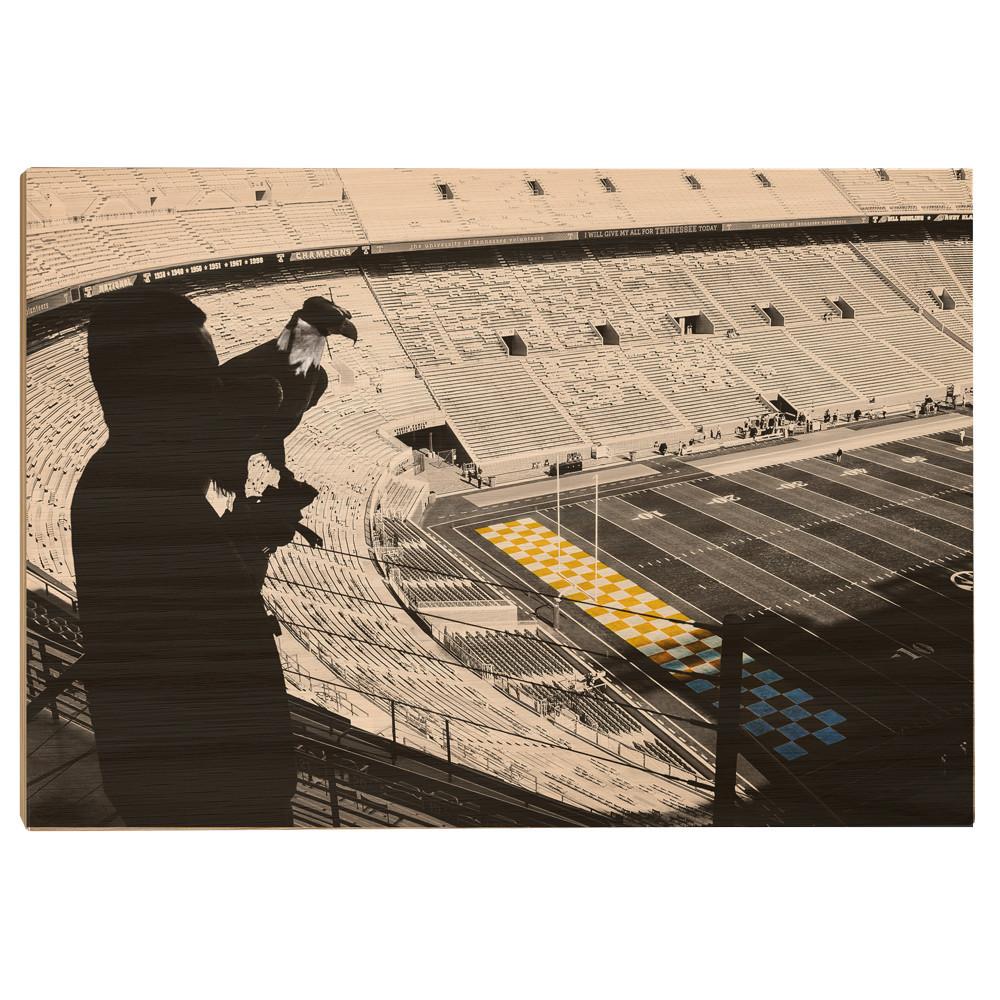 Tennessee Volunteers - Eagles Eye Over Neyland - College Wall Art #Canvas