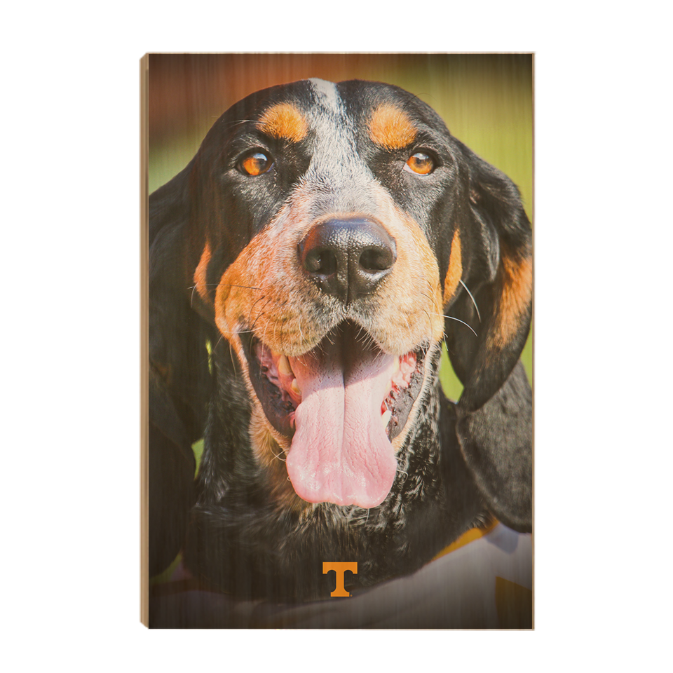 Tennessee Volunteers - Smokey Smiles - College Wall Art #Canvas