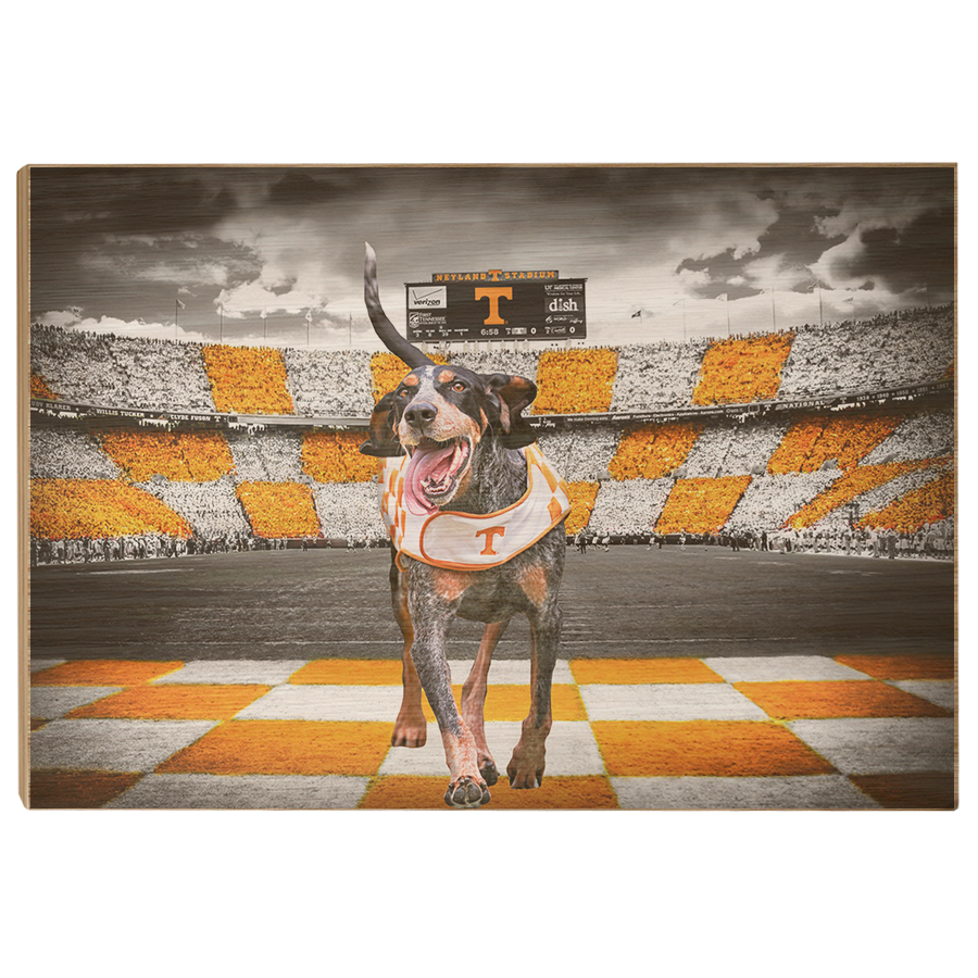 Tennessee Volunteers - Smokey's Backyard - College Wall Art #Canvas