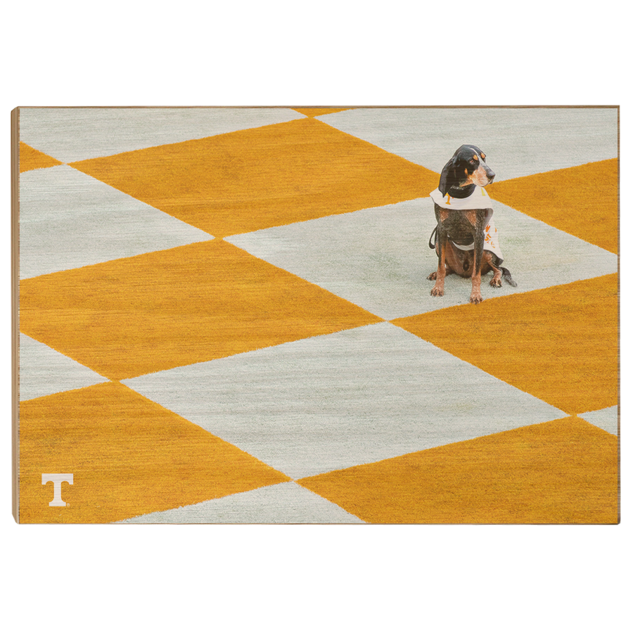 Tennessee Volunteers - Checkerboard Smokey - College Wall Art #Canvas