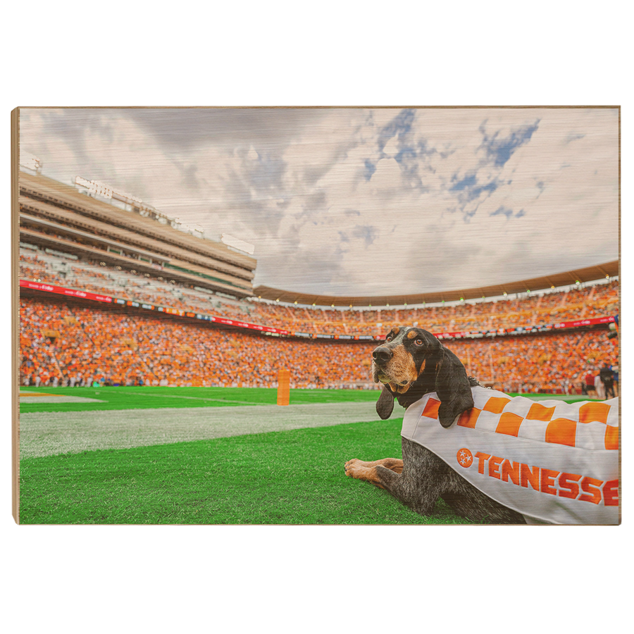 Tennessee Volunteers - Smokey's Tennessee - College Wall Art #Canvas