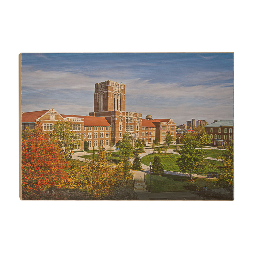 Tennessee Volunteers - Ayers Aerial - College Wall Art #Canvas