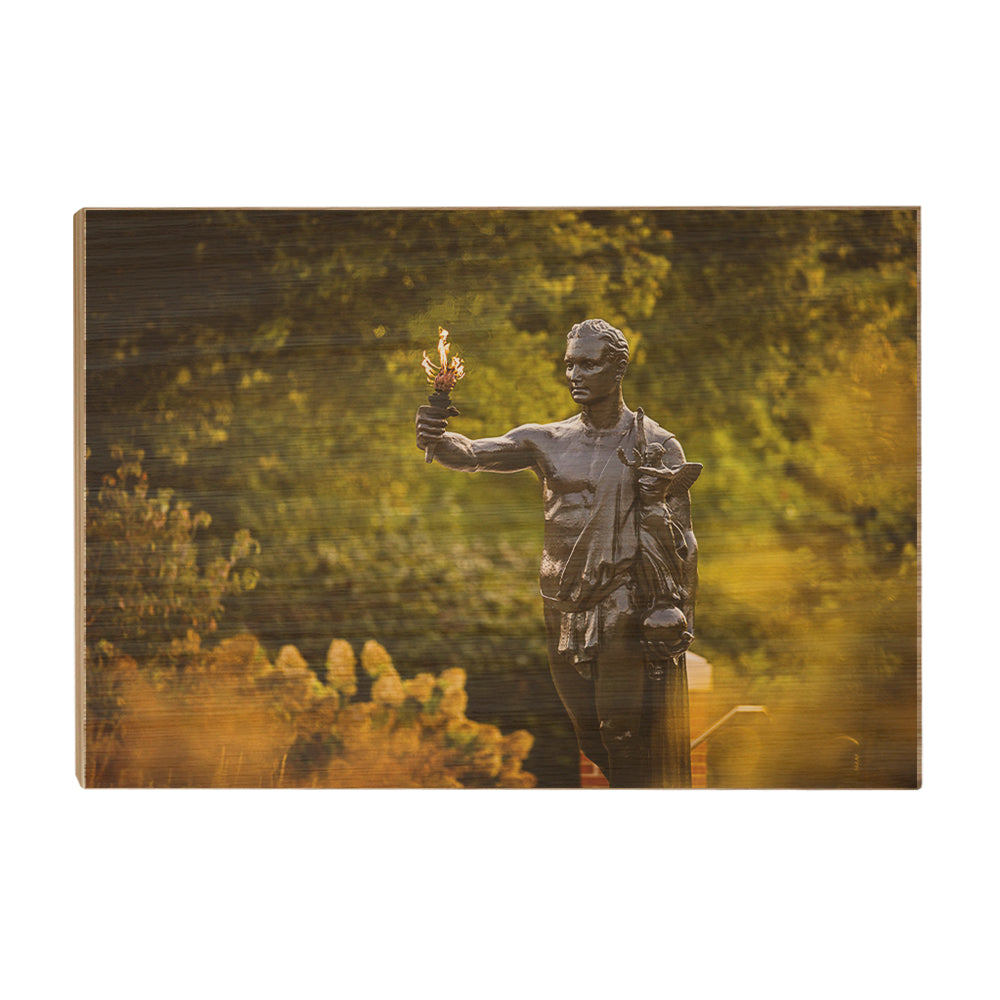 Tennessee Volunteers - Fall Torchbearer - College Wall Art #Canvas