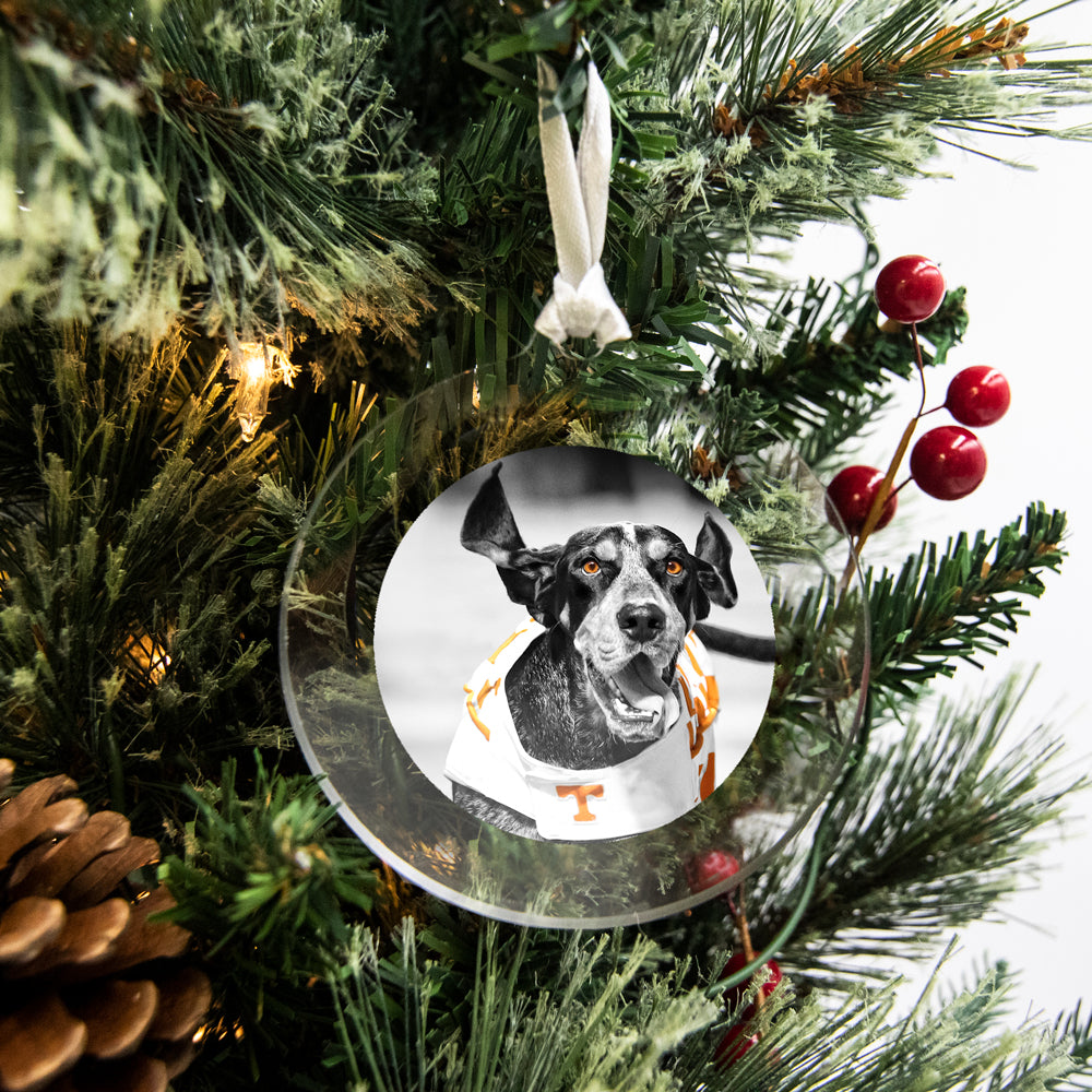 Tennessee Volunteers - Smokey TD Ornament & Bag Tag