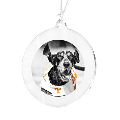 Tennessee Volunteers - Smokey TD Ornament & Bag Tag