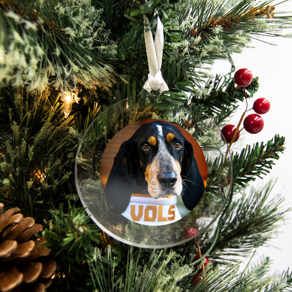 Tennessee Volunteers - Smokey Vols Ornament & Bag Tag