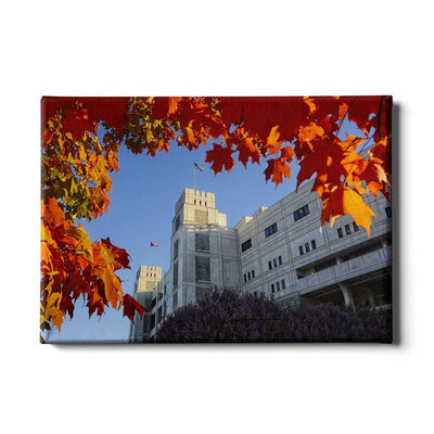 Virginia Tech Hokies - Lane Autumn Leaves - College Wall Art #Canvas