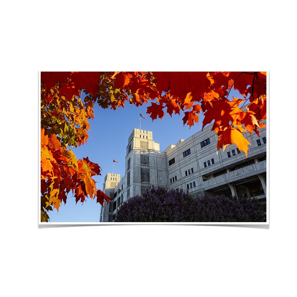 Virginia Tech Hokies - Lane Autumn Leaves - College Wall Art #Canvas