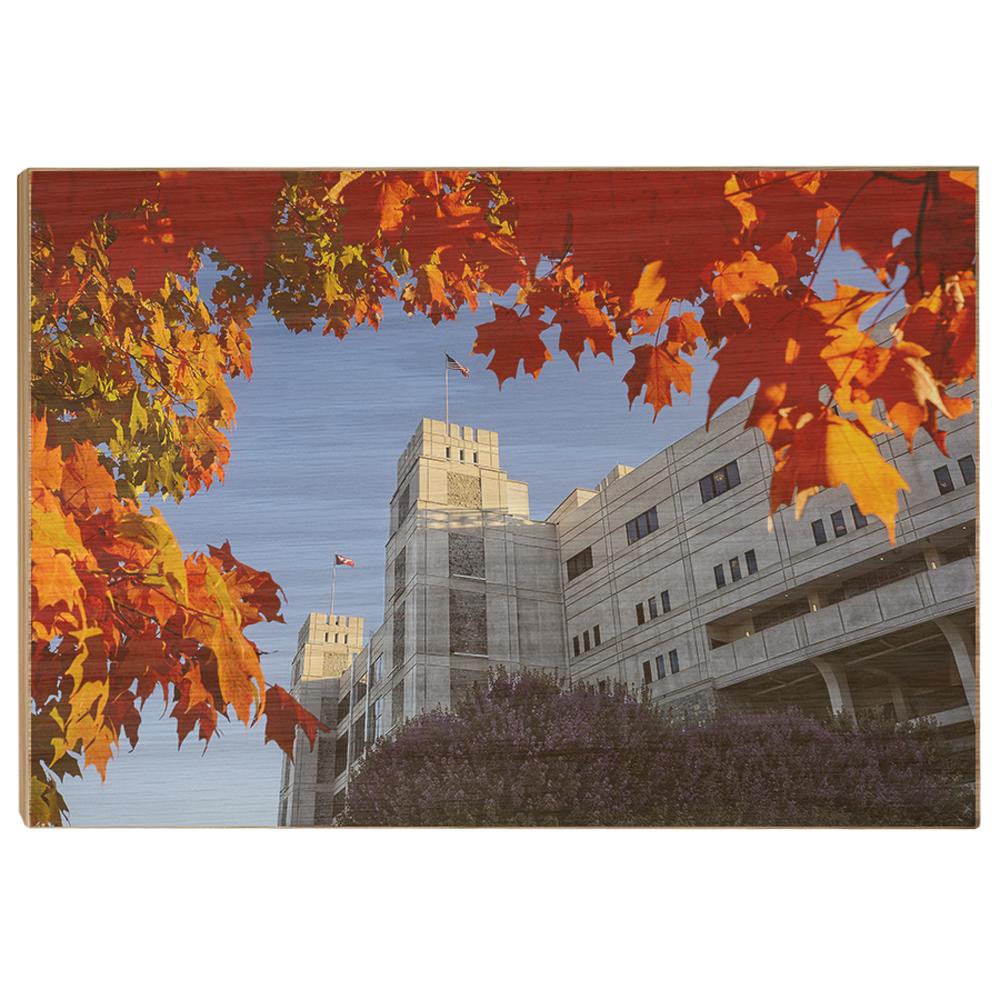 Virginia Tech Hokies - Lane Autumn Leaves - College Wall Art #Canvas
