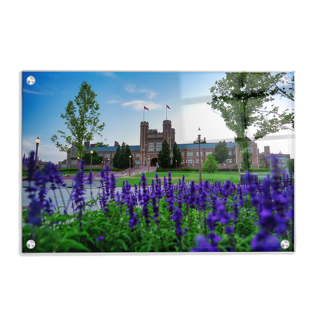 Washington University Bears - CEFU - College Wall Art #Canvas