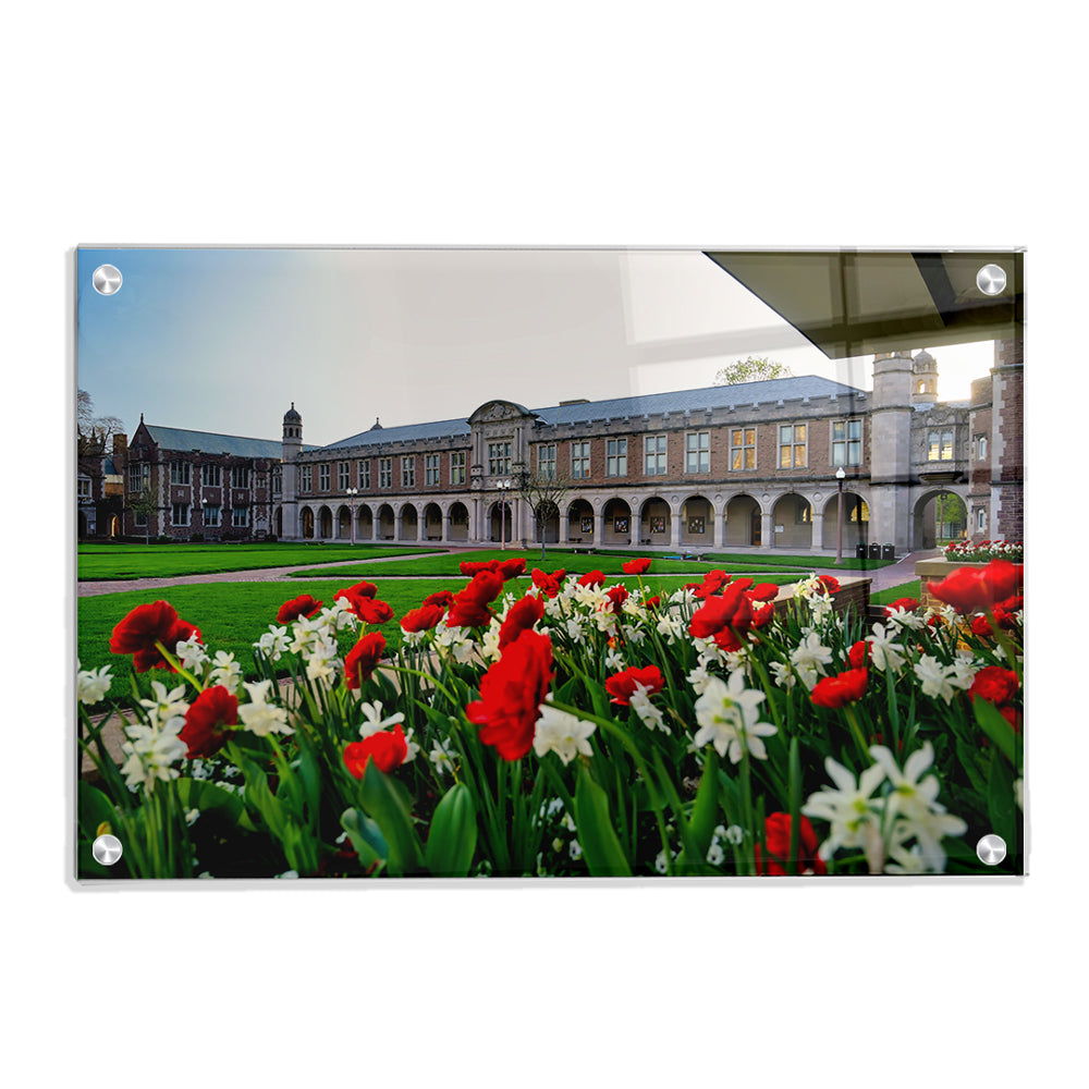 Washington University Bears - Spring Campus - College Wall Art #Canvas