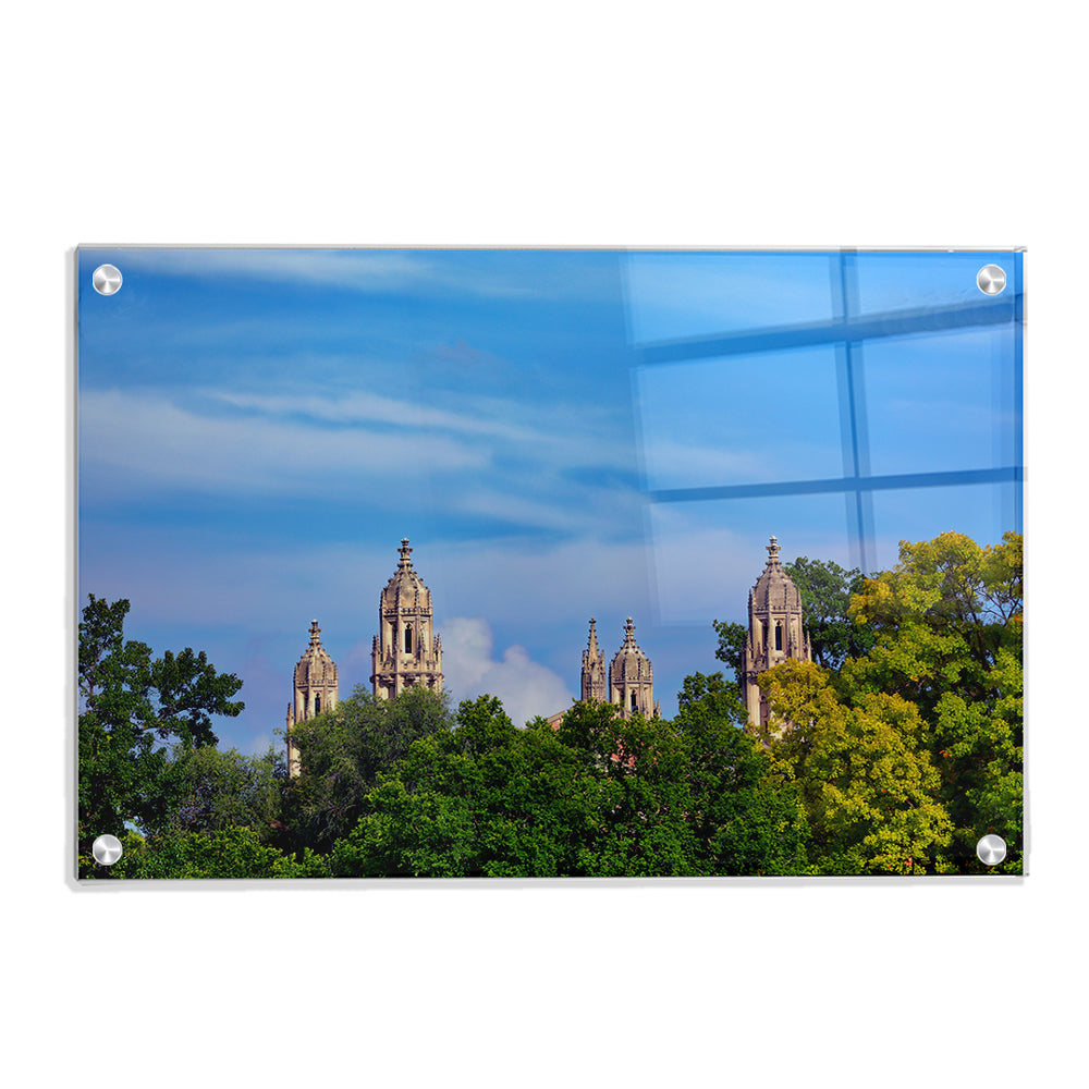Washington University Bears - The Skyline - College Wall Art #Canvas