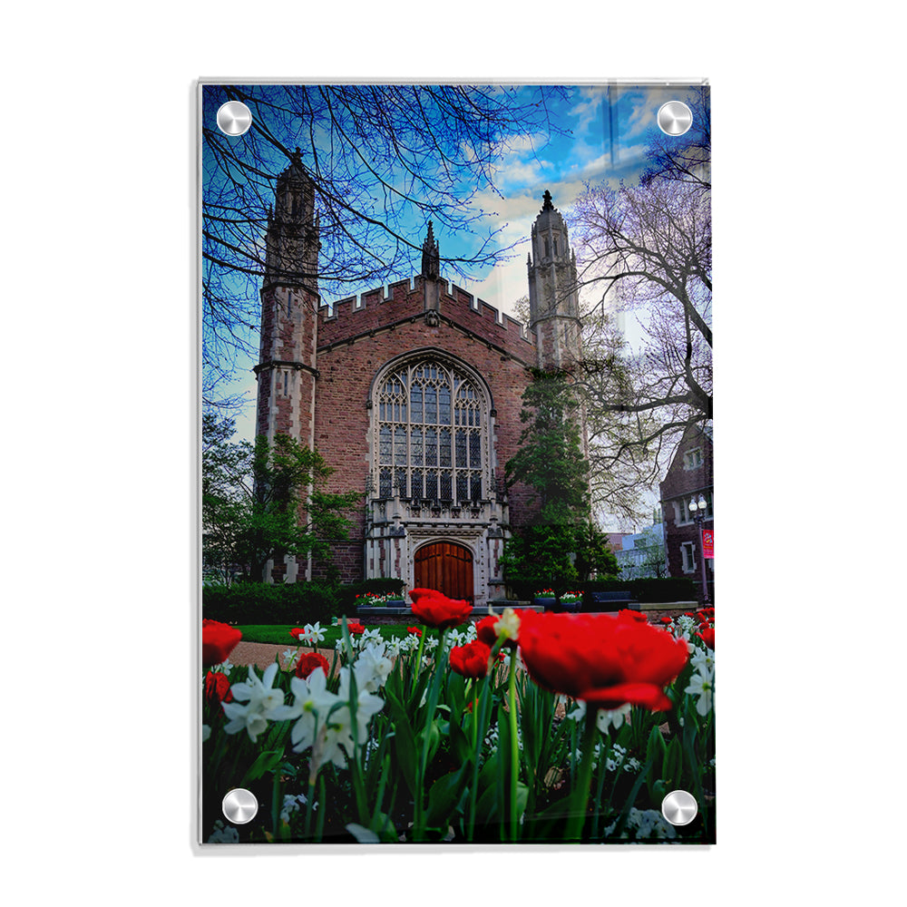 Washington University Bears - Tulips - College Wall Art #Canvas