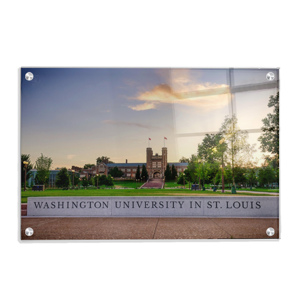 Washington University Bears - Washington University in St. Louis - College Wall Art #Canvas