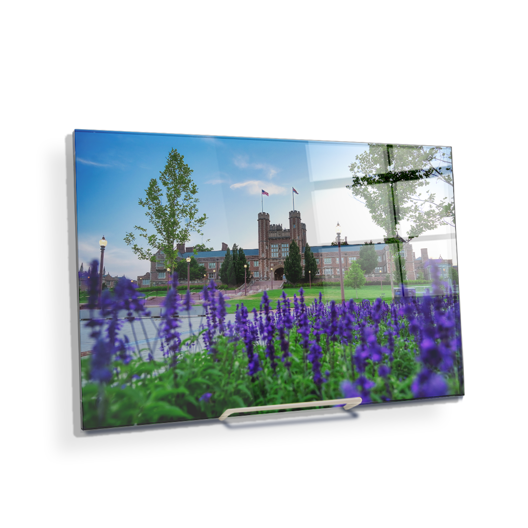 Washington University Bears - CEFU - College Wall Art #Canvas