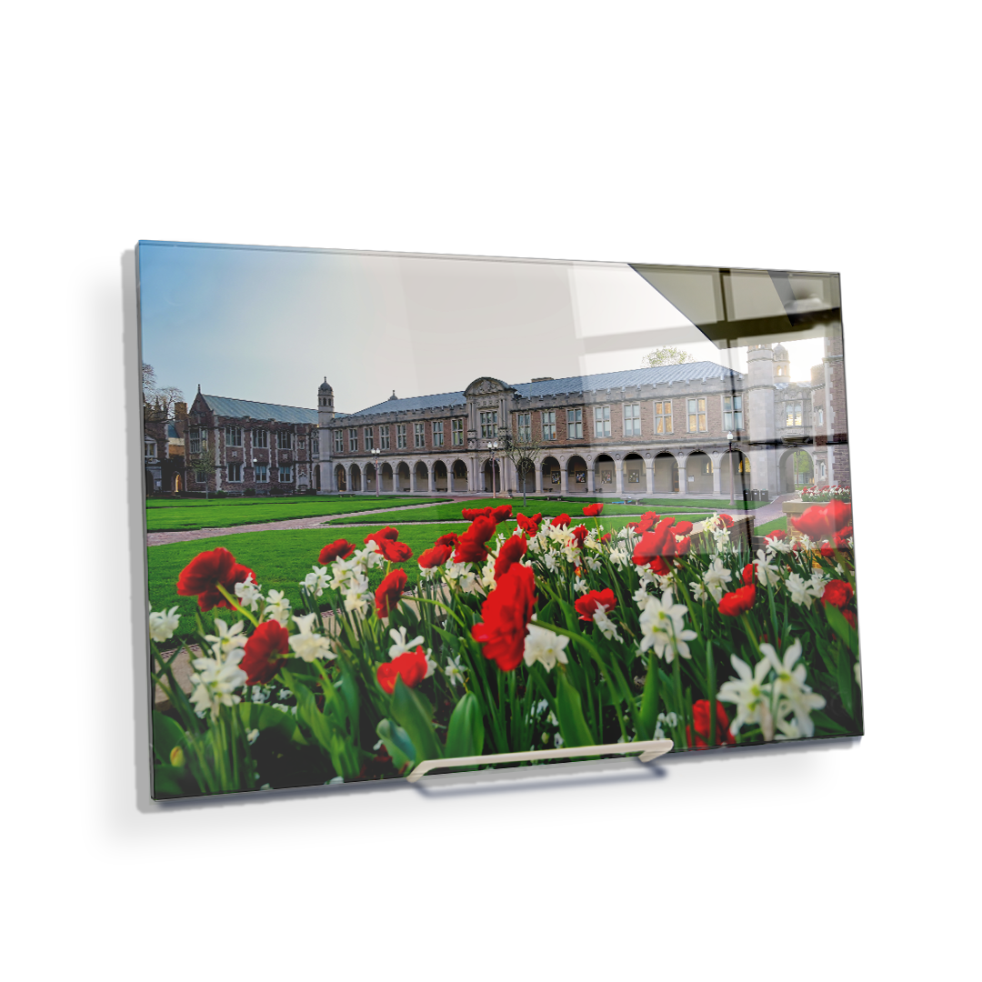 Washington University Bears - Spring Campus - College Wall Art #Canvas
