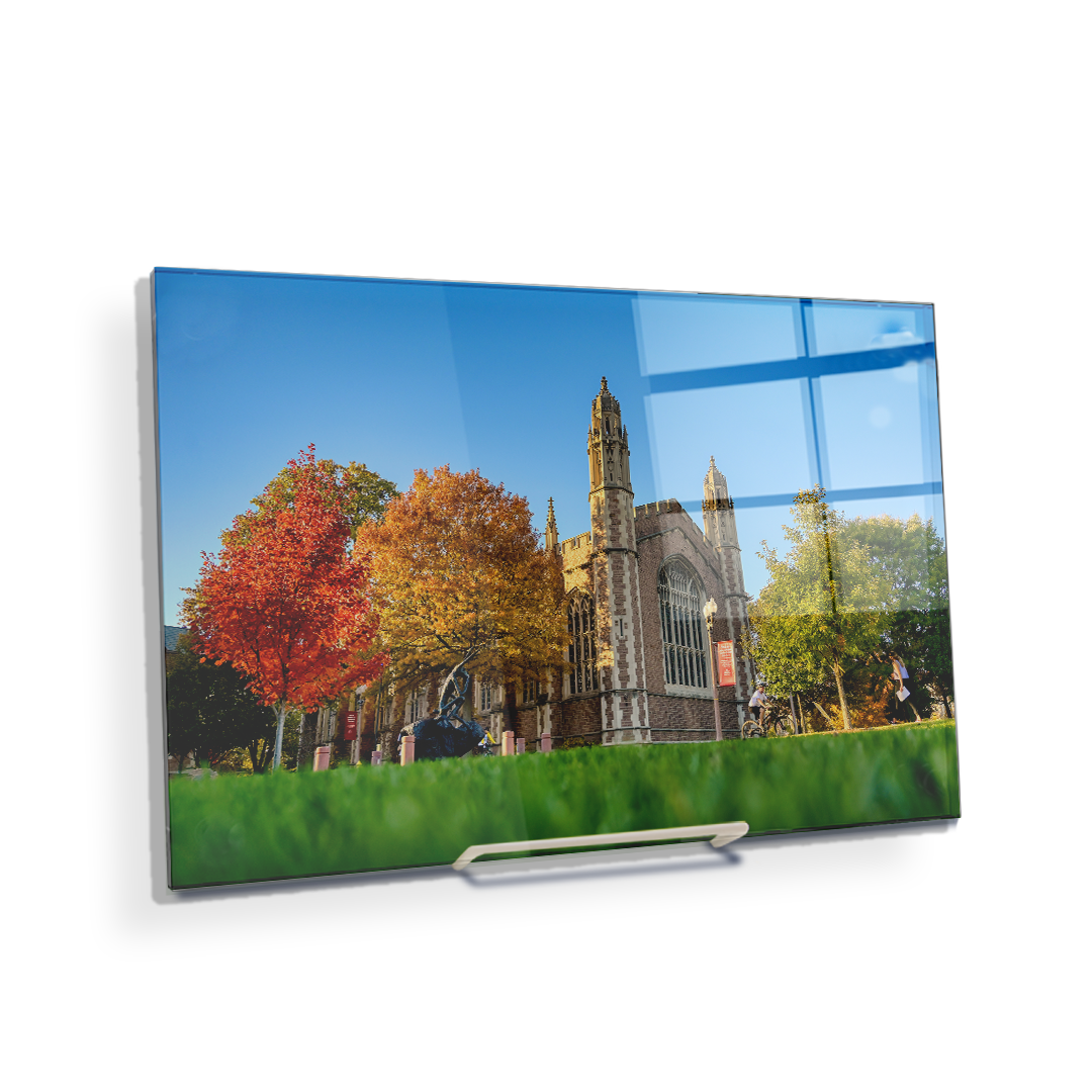 Washington University Bears - Autumn - College Wall Art #Canvas
