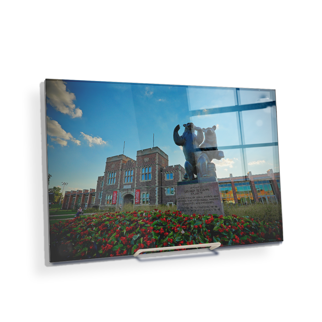 Washington University Bears - Summers Rec - College Wall Art #Canvas