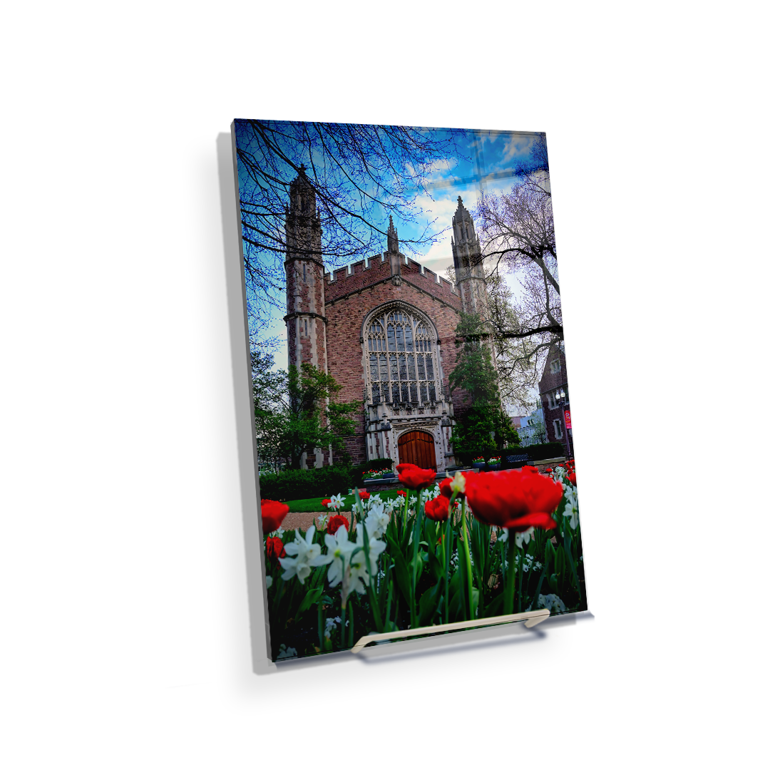 Washington University Bears - Tulips - College Wall Art #Canvas