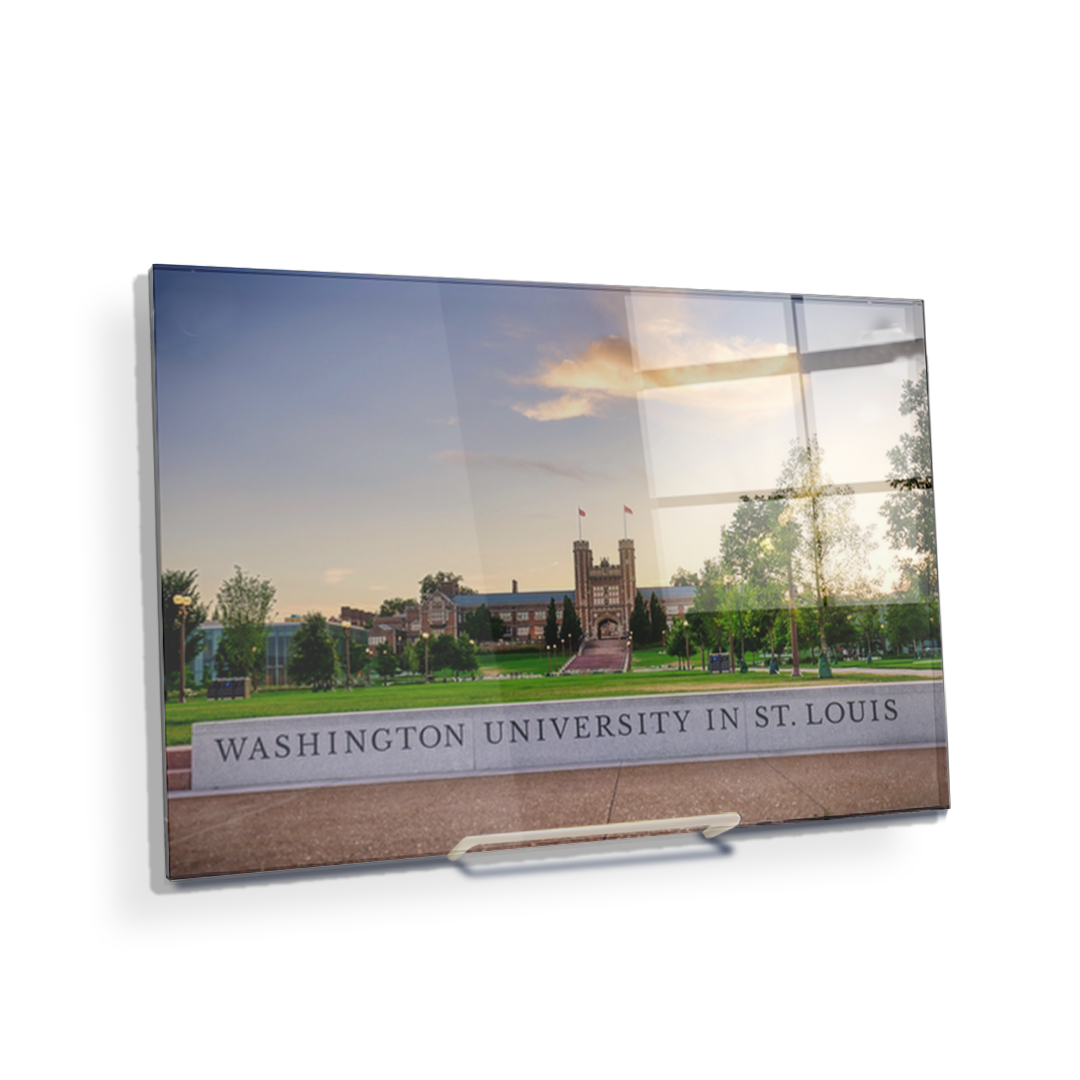 Washington University Bears - Washington University in St. Louis - College Wall Art #Canvas