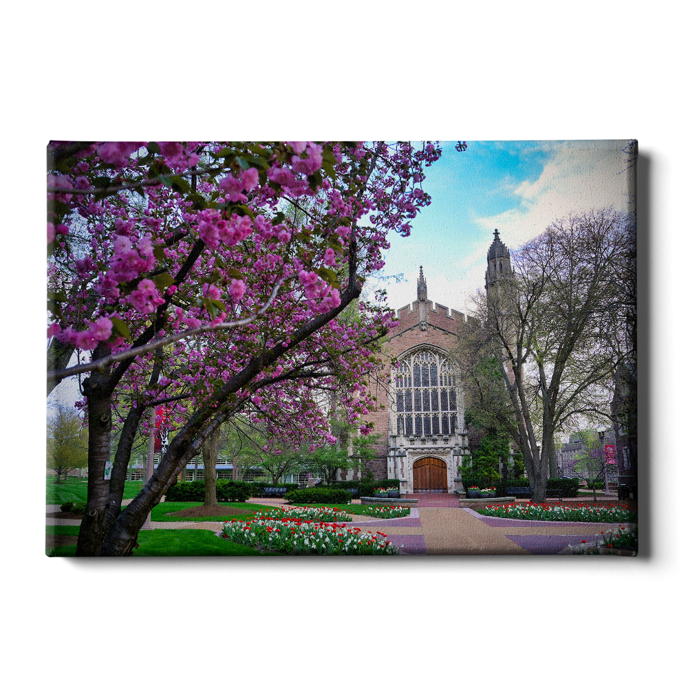 WashU-Cherry Blossoms-College Wall Art WashU-Cherry Blossoms-College Wall Art