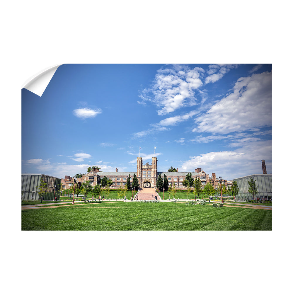 Washington University Bears - Campus - College Wall Art #Canvas