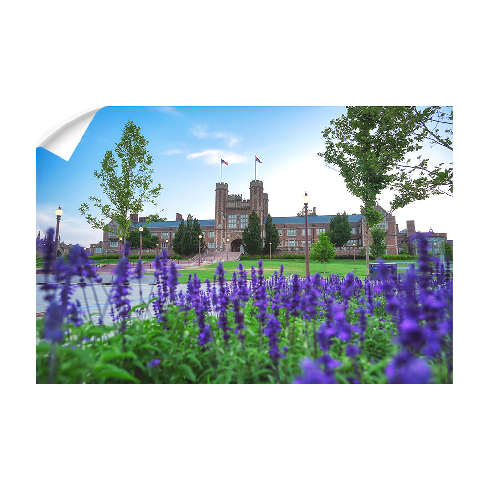 Washington University Bears - CEFU - College Wall Art #Canvas