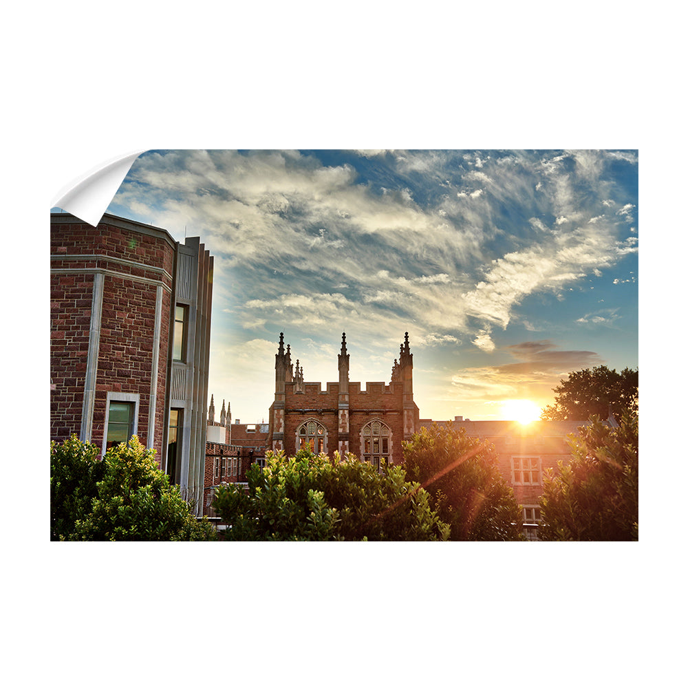 Washington University Bears - Campus Sunrise - College Wall Art #Canvas