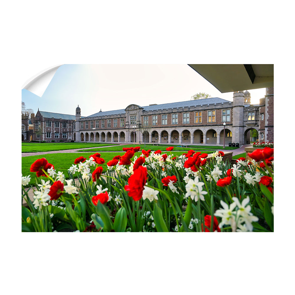 Washington University Bears - Spring Campus - College Wall Art #Canvas